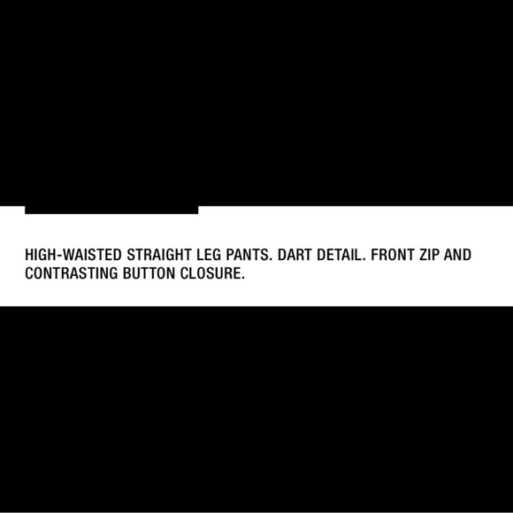 BLOGGERS FAVE Zara Pants - Picture 9 of 13